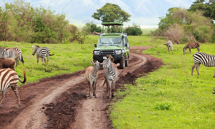 Travelling with FirstPace Africa
