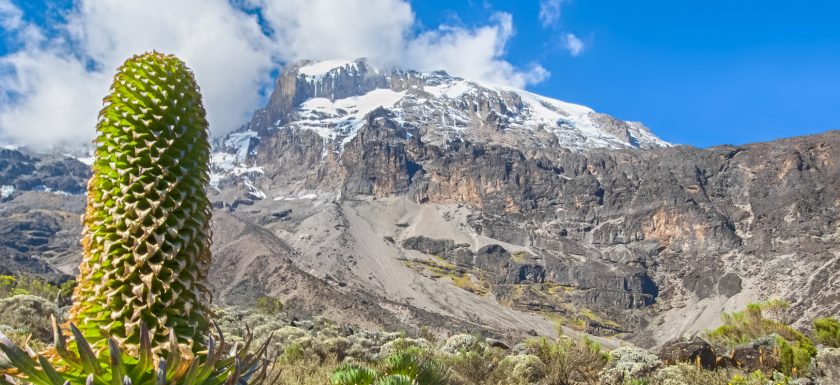 Mount Kilimanjaro National Park
