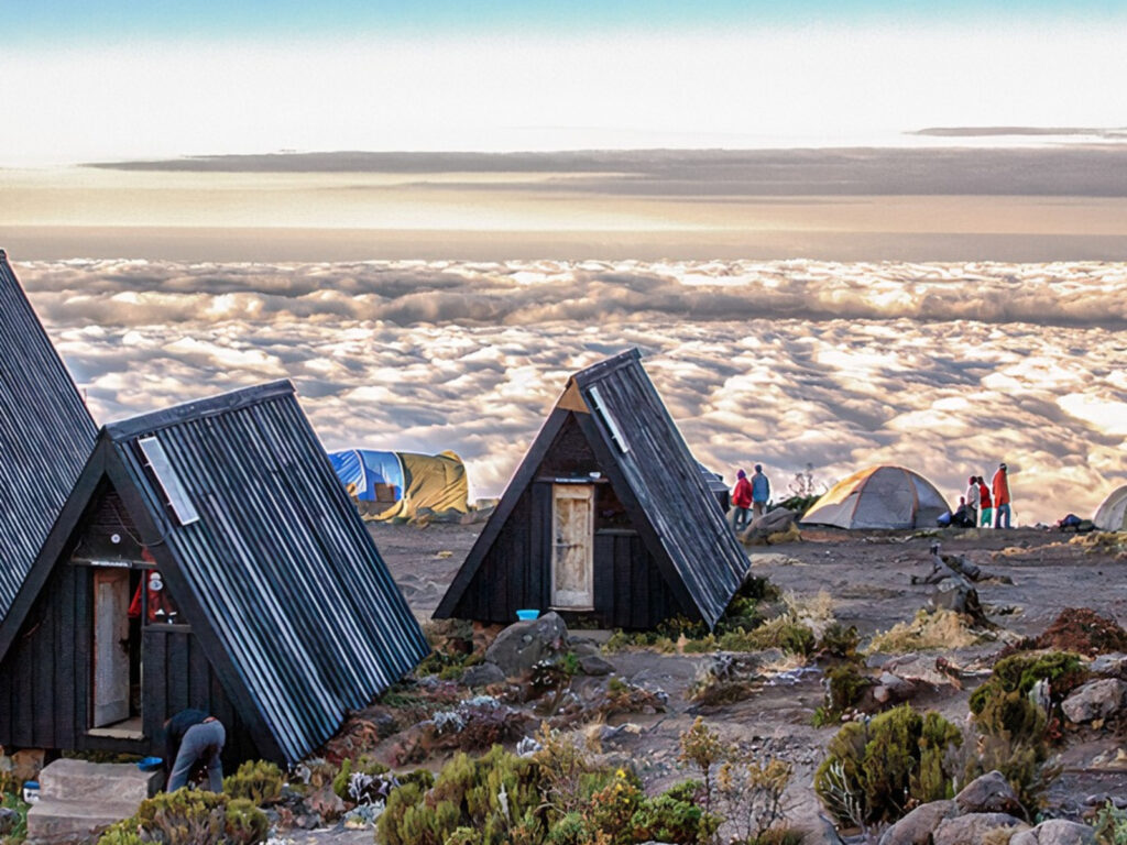 Mount Kilimanjaro National Park,Tanzania