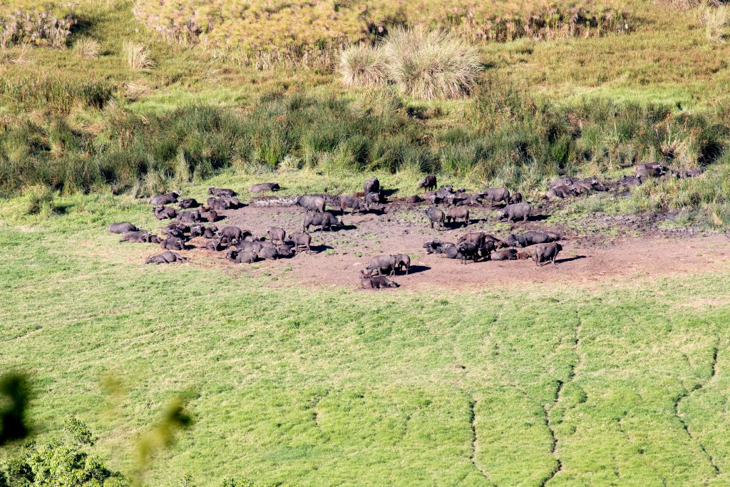 Arusha National Park,Tanzania
