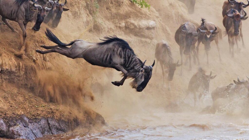10-Day Safari & Zanzibar