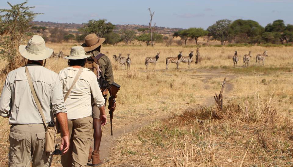 Lake Manyara National Park