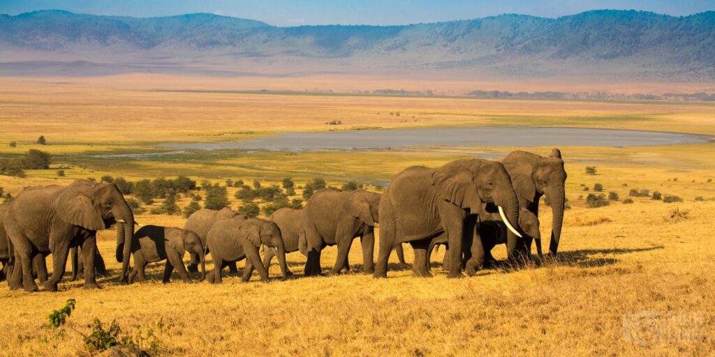 3 Days Serengeti & Ngorongoro,Ngorongoro Conservation Area