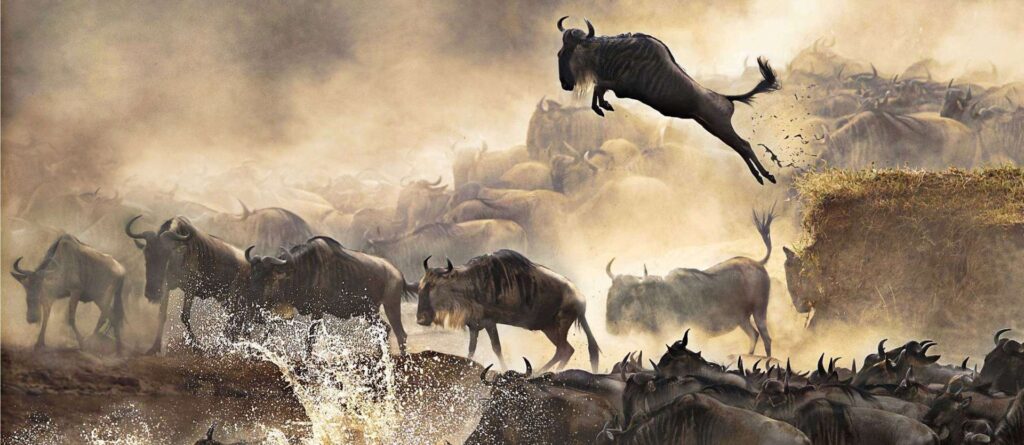 FirstPace African Travel