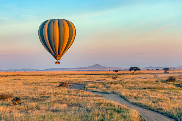 The aerial view during the hot air balloon ride.