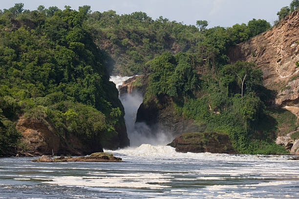 "Murchison Falls, also known as Kabalega Falls or Kabarega Falls, is a waterfall on the Nile. It breaks the Victoria Nile, which flows across northern Uganda from Lake Victoria to Lake Kyoga and then to the north end of Lake Albert in the western branch of the East African Rift.At the top of Murchison Falls, the Nile forces its way through a seven meter gap in the rocks and tumbles 43 metres down, then flows westward into Lake Albert. The outlet of Lake Victoria sends around 300 cubic metres per second (11,000 ft³/s) of water over the falls, squeezed into a gorge less than ten metres (30 ft) wide."