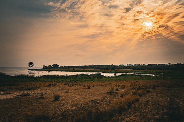 Sunset On the Wild